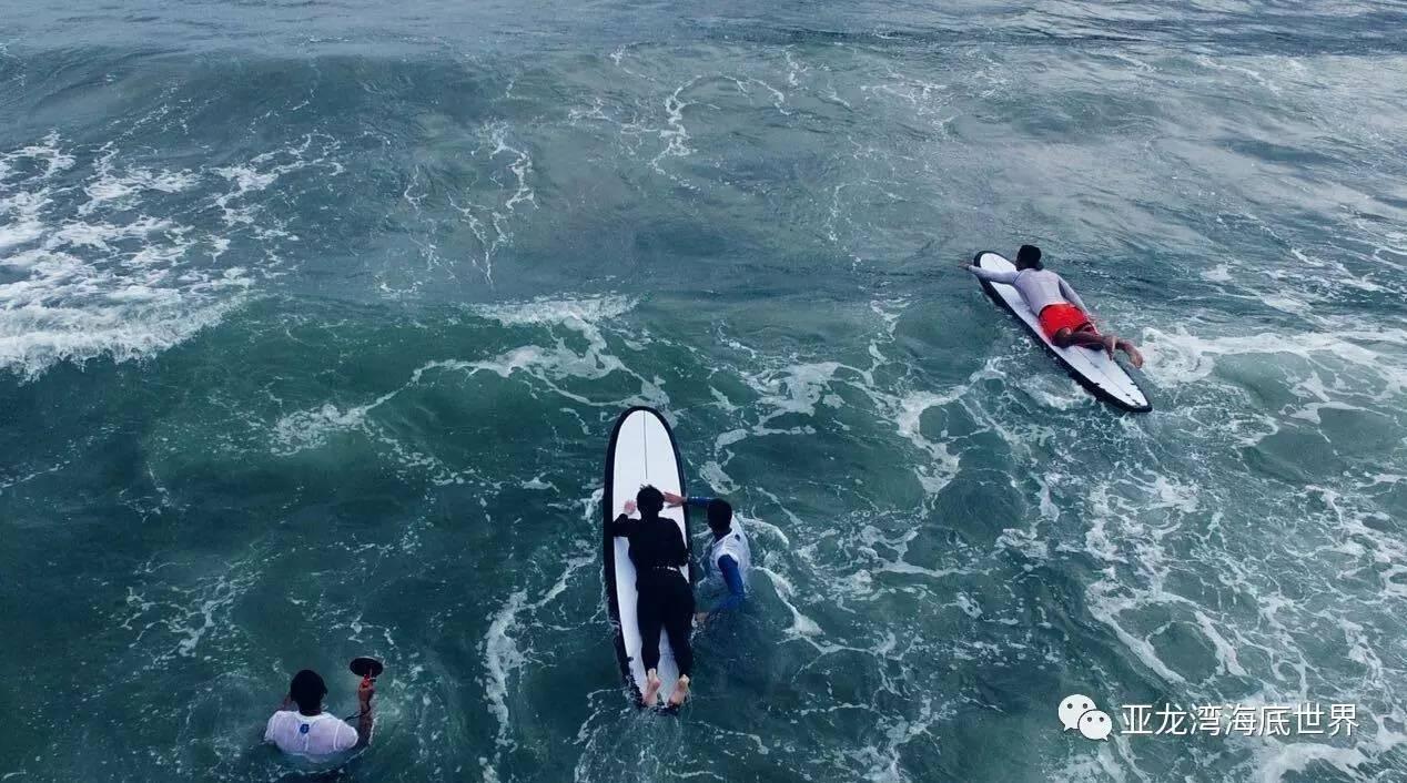 雷竞技比分